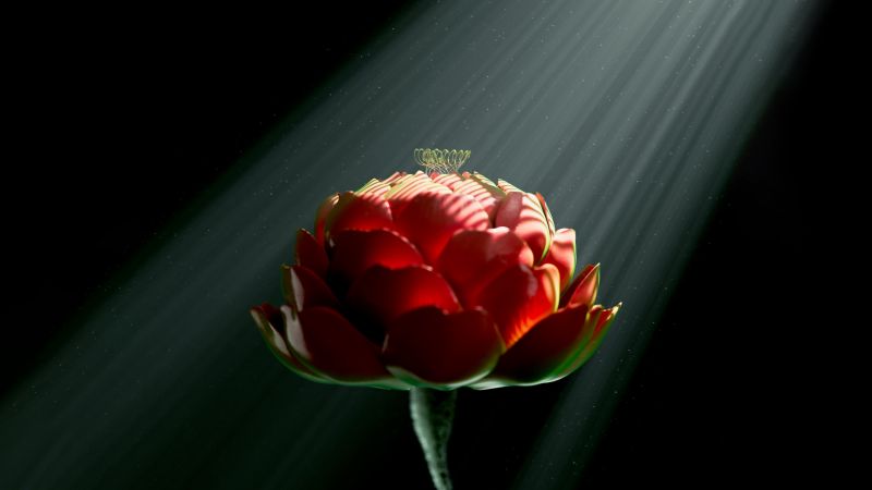 Red flower, Digital Art, Digital flower, Radiance, Dark background, Light beam, 5K, 8K, Surreal, Dark aesthetic, Wallpaper