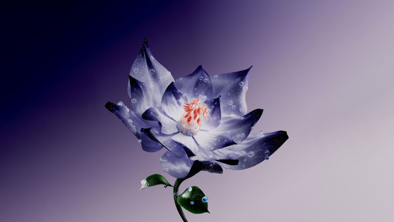 Lotus flower, Digital Art, Purple Flower, Water Lily, Digital flower, 5K, Purple background, Purple aesthetic, Wallpaper