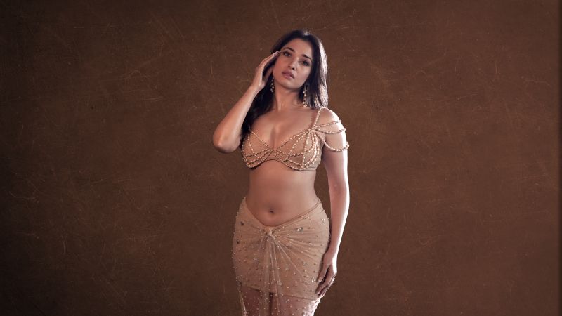 Tamanna Bhatia, 5K, 8K, Brown background, 2024, Indian actress, Wallpaper