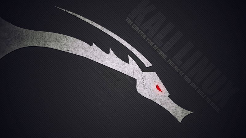 Kali Linux, Dark background