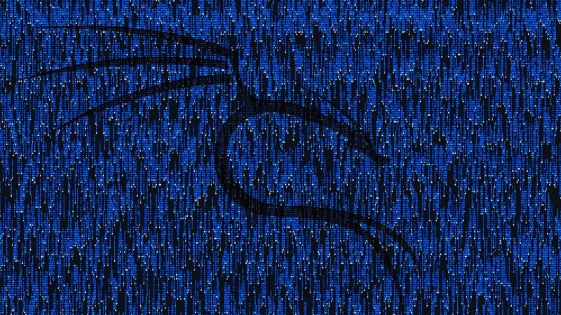 Kali Linux, Matrix falling code, Blue background