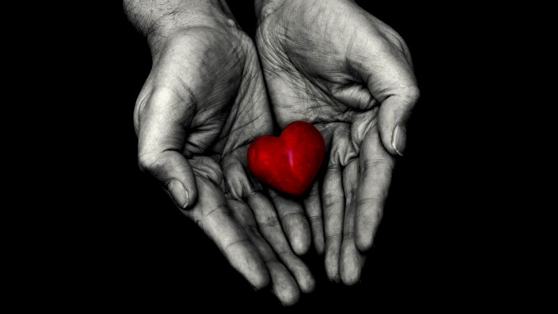 Red heart, Holding hands, 5K, 8K, Love heart, Black background, AMOLED, Wallpaper