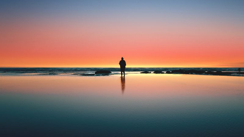 Horizon, Beach, Man, Alone, Sunset, Silhouette, Crescent Moon, Reflection, Kalaloch, Wallpaper