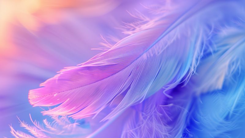 Aesthetic, Feathers, Colorful background, 5K, Wallpaper