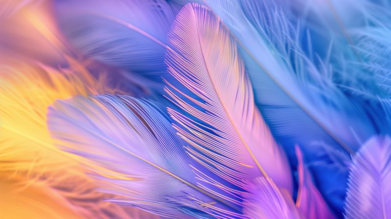 Feathers, Aesthetic, 5K, Colorful background, Wallpaper
