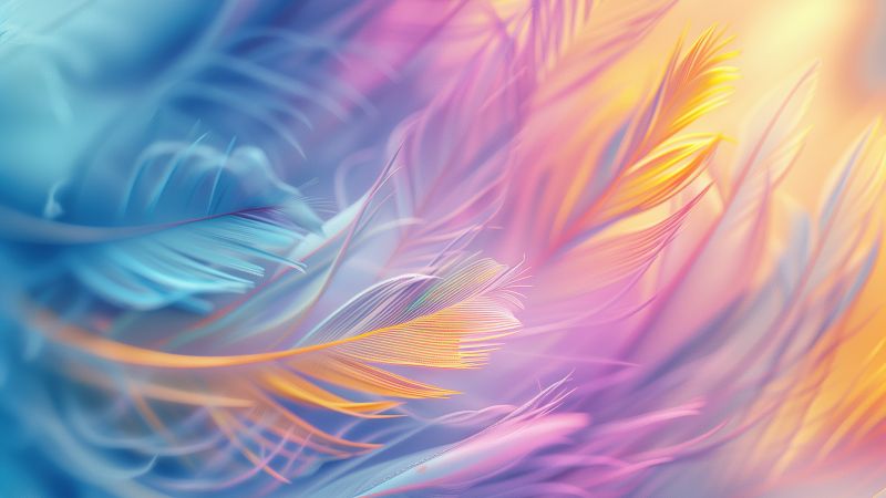 Colorful, Feathers, Aesthetic, 5K, Wallpaper