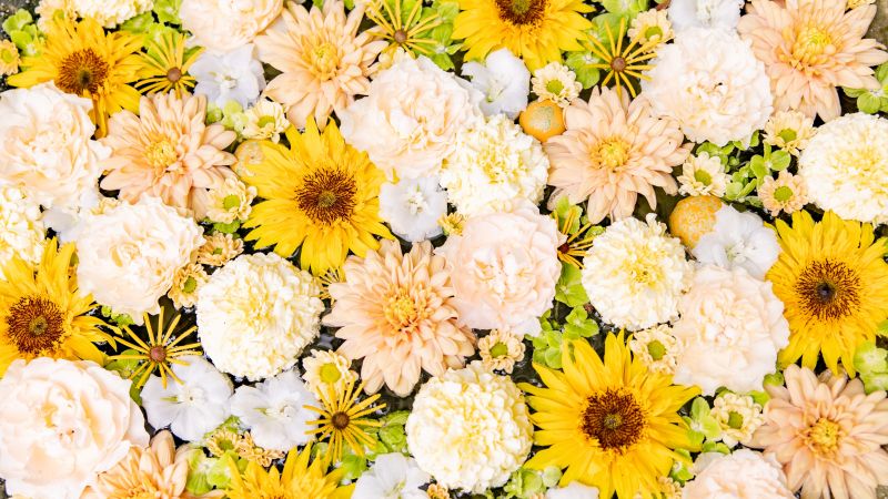 Flower bouquet, Yellow aesthetic, Chrysanthemum flowers, Daisy flowers, Wallpaper