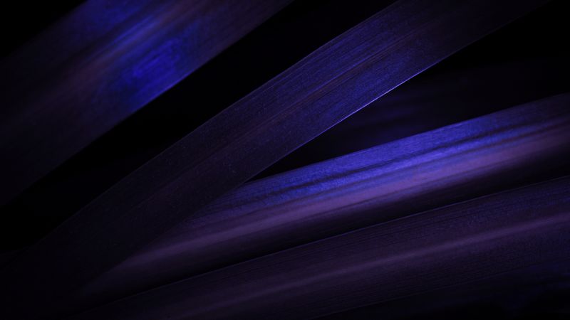 Purple aesthetic, Leaves, Pattern, Macro, Dark aesthetic, 5K, Purple leaves, Wallpaper