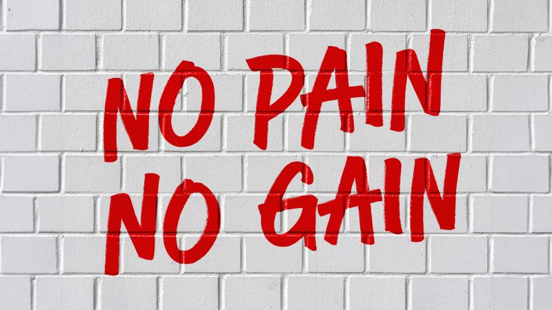 No pain No gain, Brick wall, White background, 5K, Motivational quotes, Typography, Wallpaper