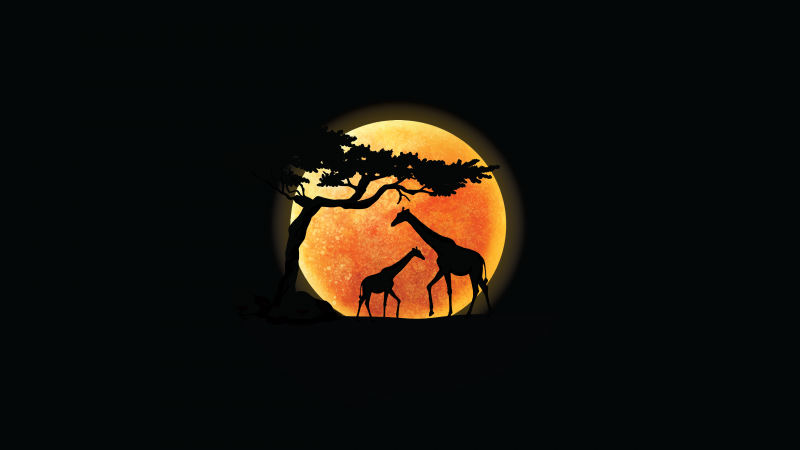Giraffe, Silhouette, Sunset, AMOLED, Black background, Minimalist, 5K