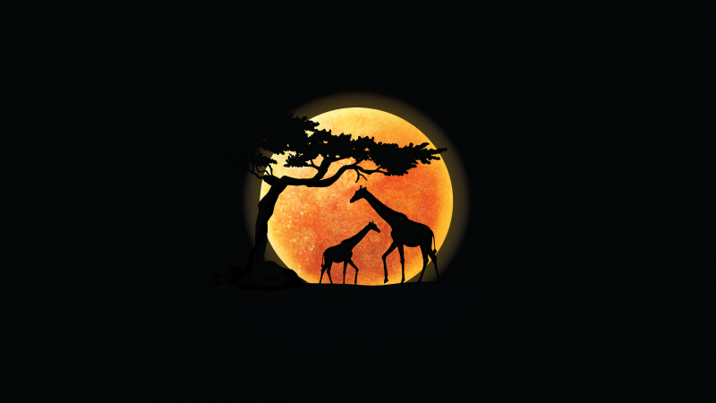 Giraffe, Silhouette, Sunset, AMOLED, Black background, Minimalist, 5K, Wallpaper