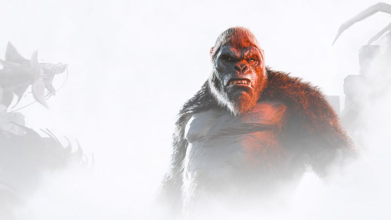 Kong: Survivor Instinct, 2024 Games, 5K, King Kong, Wallpaper