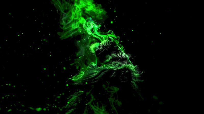 Lion, Green aesthetic, AMOLED, Smoke, 5K, Black background, Dark theme