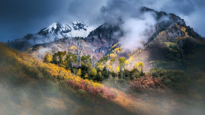 Colorado, Mountain Landscape, Fall Colors, Clouds, Autumn Forest, Aspen trees, 5K, 8K, Wallpaper