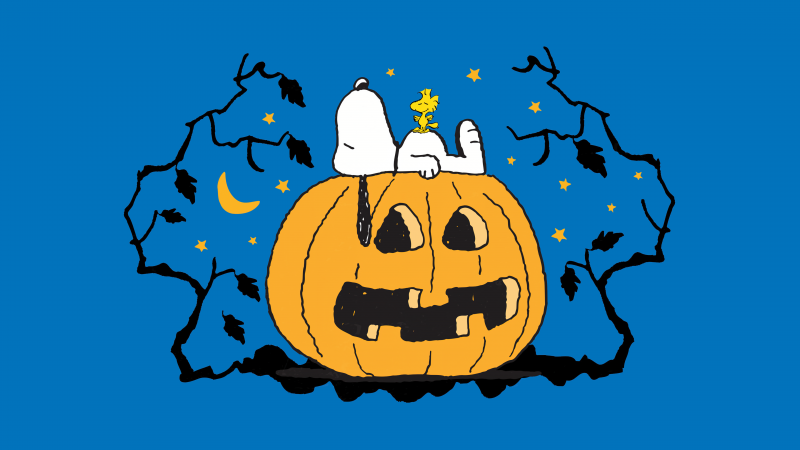 Snoopy, Halloween Pumpkin, Blue background, 5K, Sleeping, Peanuts, Wallpaper