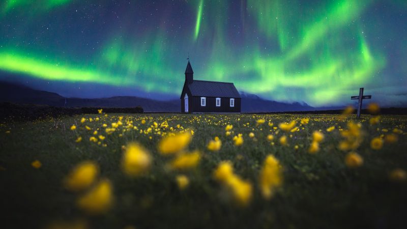 Aurora Borealis, Church, Northern Lights, Iceland, Yellow flowers, Scenic, Landscape, Evening sky, 5K, 8K, Wallpaper