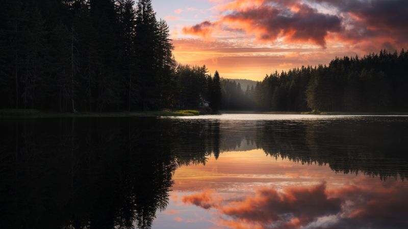 Serene, Lake, Sunset, Forest, Trees, Reflection, Clouds, Body of Water, Scenic, Peaceful, Calm, Tranquil, Quiet, 5K, 8K, Wallpaper