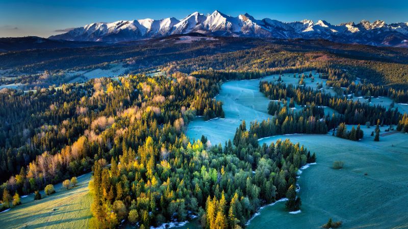 Poland, Landscape, Tatra Mountains, Mountain range, Green Forest, Pine trees, Morning light, Scenic, 5K