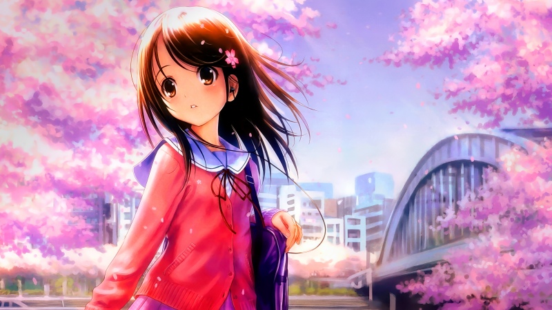 Pretty, Anime girl, Cherry blossom, Sakura, Spring