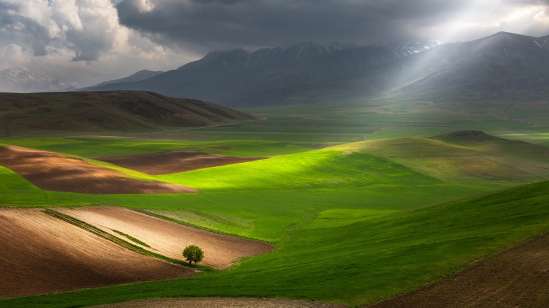 Sibillini National Park, Landscape, Lone tree, Green Fields, Dramatic, Sunbeam, Rolling hills, Stormy Clouds, Sunlight, Vibrant, Green Grass, Countryside, Mountains, Mood, Solitude, 5K, Italy, Wallpaper