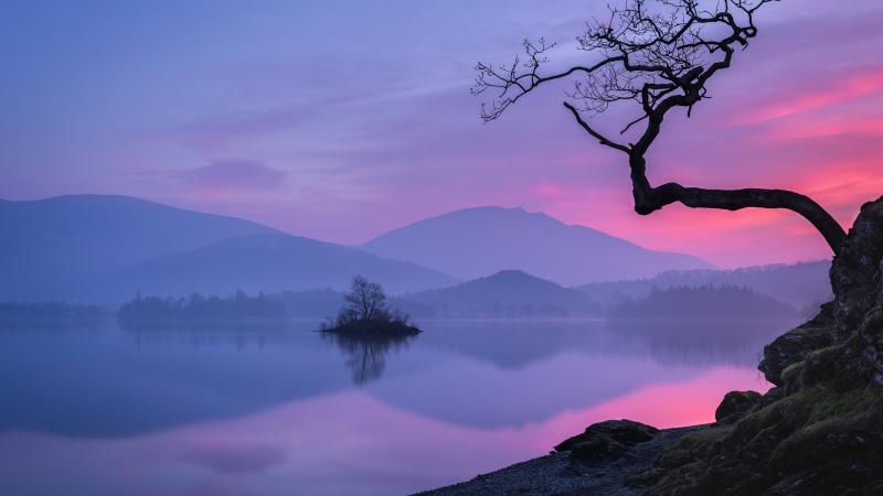 Pastel, Sunset, Lake, Mountains, Serene, Reflection, Silhouette, Lone tree, Dusk, Twilight, Misty, Scenic, Calm