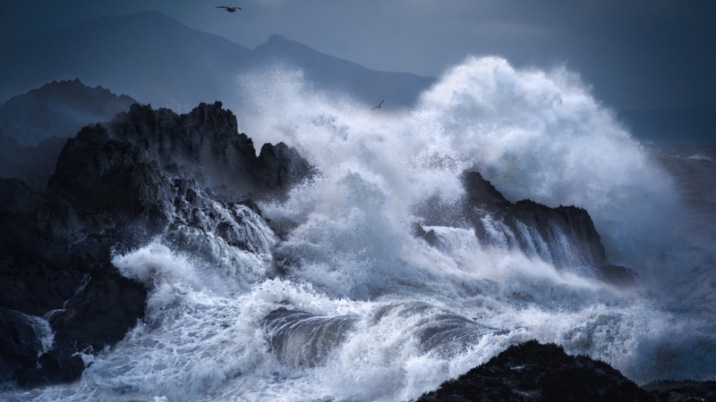 Stormy, Waves, Rocky coast, Dramatic, Seascape, Seabirds, Coastal, 5K, Dark, Wallpaper