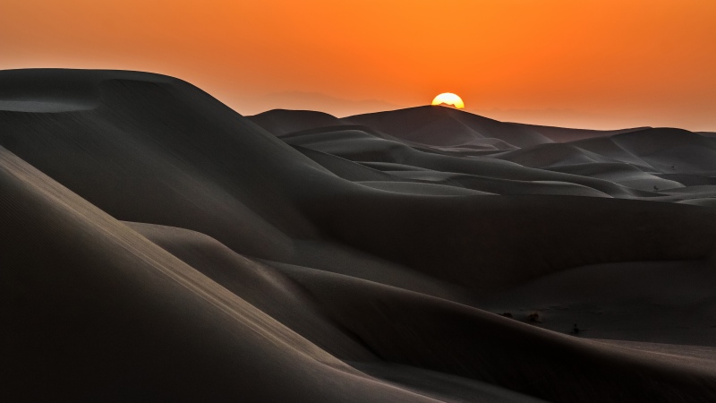 Sunrise, Desert, Sand Dunes, Golden hour, Orange sky, Serene, Warm, Wilderness, Horizon, 5K, Wallpaper