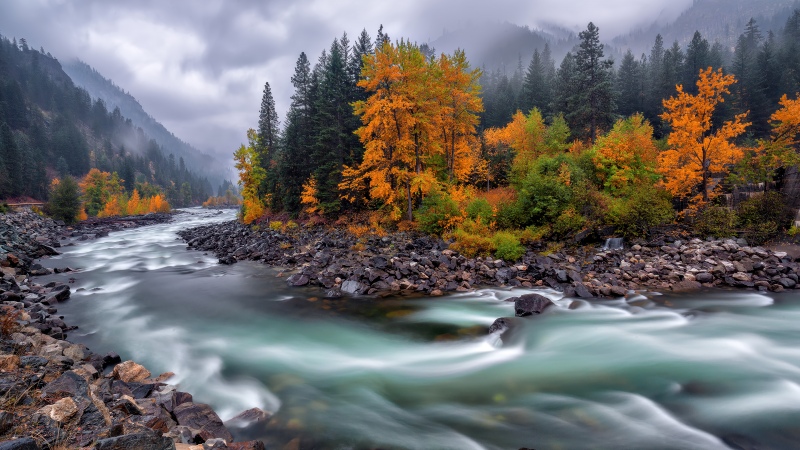 Autumn, River Stream, Flowing Water, Autumn foliage, Misty mountains, Rocky shore, Long exposure, Serene, Cloudy Sky, Autumn Scenery, Autumn season, 5K