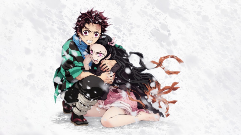 Nezuko Kamado, Tanjiro Kamado, Demon Slayer: Kimetsu no Yaiba