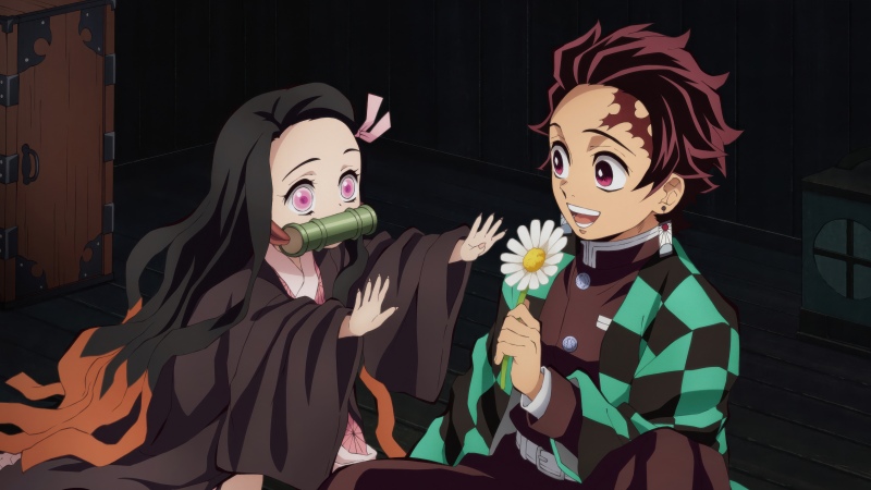 Demon Slayer: Kimetsu no Yaiba, Nezuko Kamado, Tanjiro Kamado