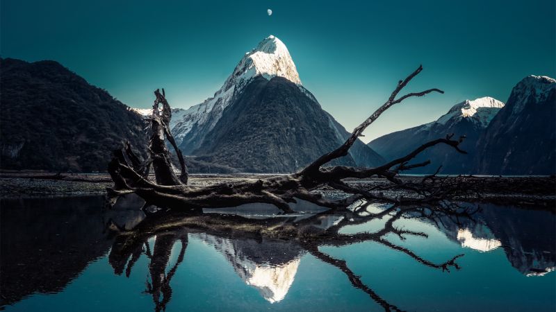 Mitre Peak, Moon, New Zealand, Milford Sound, Fallen tree, Snow mountains, Blue Sky, Water, Reflection, 5K, Wallpaper