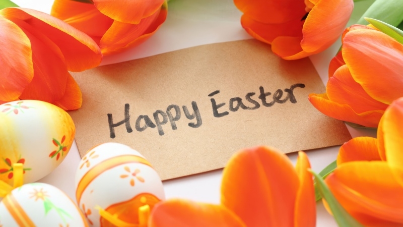 Happy Easter, Tulips, Easter eggs, Orange flowers, 5K