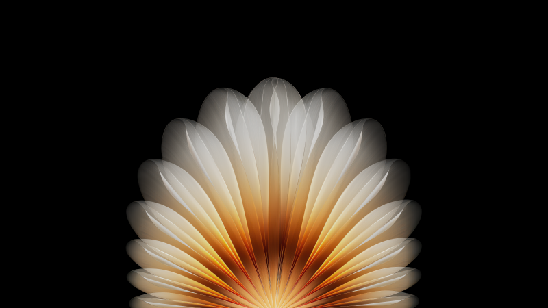 Floral, Abstract design, Geometric, AMOLED, Black background, Oppo Find N5, Stock, Symmetry, 5K, Wallpaper