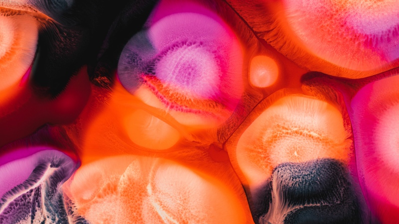 Vibrant, Fluid art, Liquid art, 5K, 8K, Wallpaper