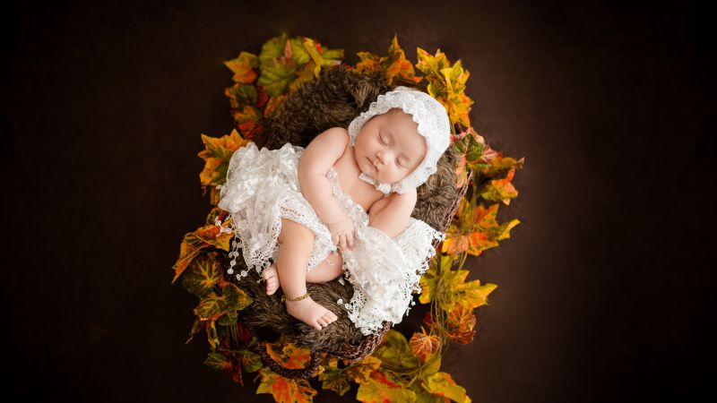 Newborn, White Dress, Fur, Autumn leaves, Brown, Dark background, Cute Baby, Basket, 5K, Wallpaper