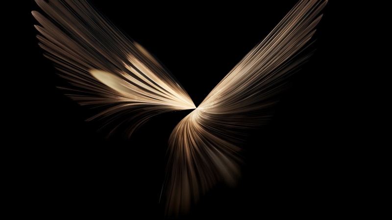 Honor Magic V6 stock wallpaper