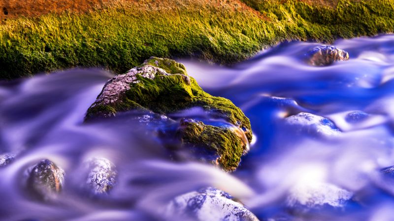 Green Moss, Water Stream, Long exposure, Close up, Rock, Purple, 5K, Wallpaper