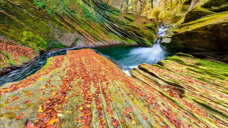 River, Autumn, Foliage, Stream, Savoie, France, Rocks, 5K, Wallpaper