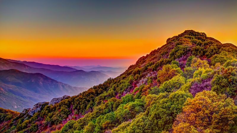 Sequoia National Park, California, United States, Green Trees, Colorful Sky, Purple, Daytime, Mountain range, Landscape, Countryside, Hill, Mountain Peak, Clear sky, 5K, Wallpaper