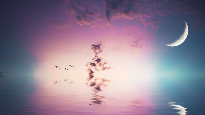 Crescent Moon, Flying birds, Body of Water, Reflection, Clouds, Sea, 5K, 8K, Wallpaper