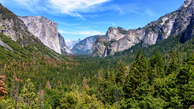 Yosemite National Park, Mountains, California, Blue Sky, Valley, Landscape, Green Trees, Scenery, Wallpaper