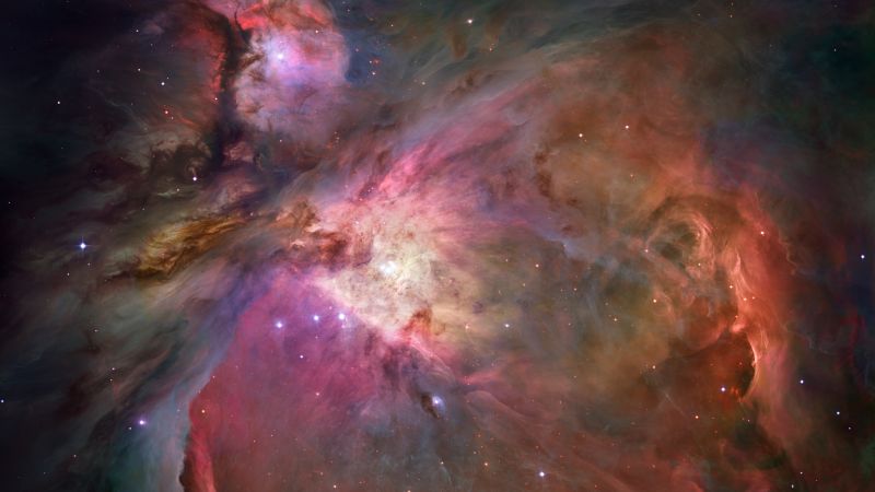 Orion Nebula, Astronomy, Outer space, Interstellar cloud, Stars, Cosmos, 5K, Wallpaper