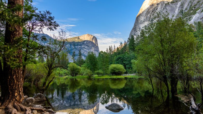 Yosemite Lake, Reflection, Green Trees, Body of Water, Woods, Landscape, Scenery, Greenery, Pleasant, Valley, Clear sky, Yosemite National Park, 5K, Wallpaper