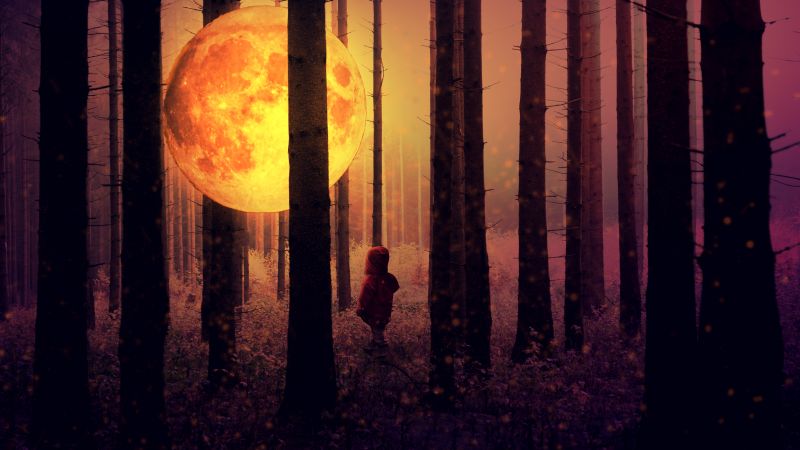 Full moon, Kid, Forest, Woodland, Surreal, Mystic, Night time, Tall Trees, 5K, Wallpaper