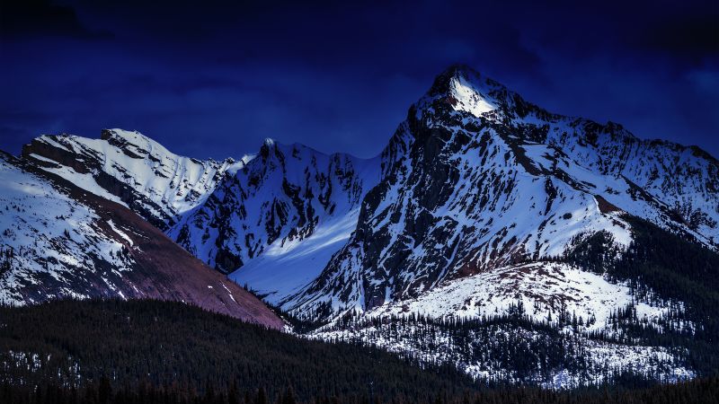 Glacier mountains, Snow covered, Dark Sky, Green Trees, Mountain Peak, Winter, Landscape, Wallpaper