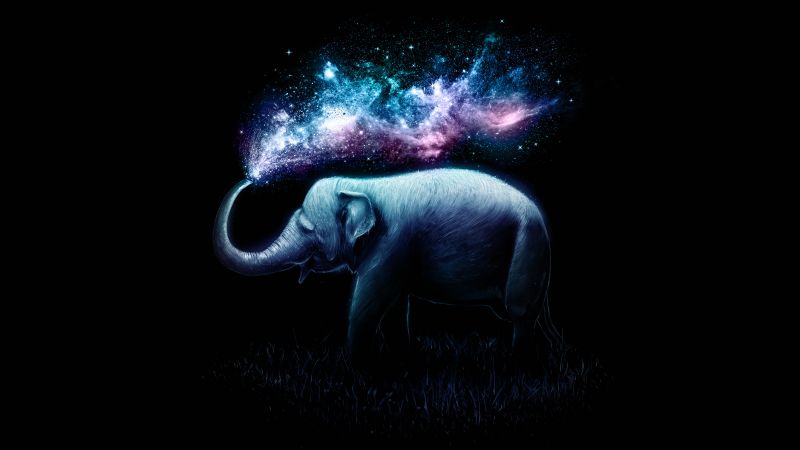 Elephant, Colorful, Surreal, AMOLED, Black background, 5K, 8K, Wallpaper