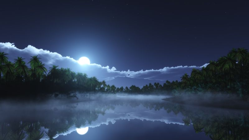 Moon light, Night time, Palm trees, Body of Water, Reflection, Stars, Clouds, Wallpaper