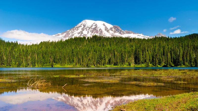 Mount Rainier, Volcano, Seattle, Washington, USA, Landscape, Blue Sky, Reflection, Green Trees, Scenery, Lake, Mountain Peak, Snow covered, Wallpaper