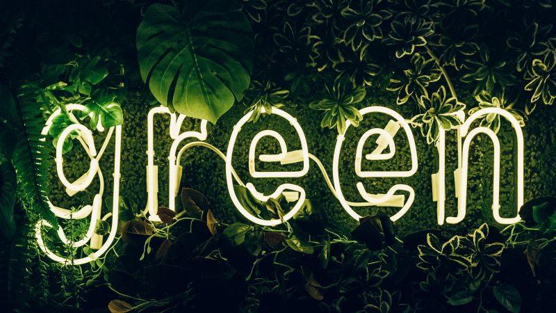 Green, Neon sign, Plant, Illuminated, Leaves, Wallpaper