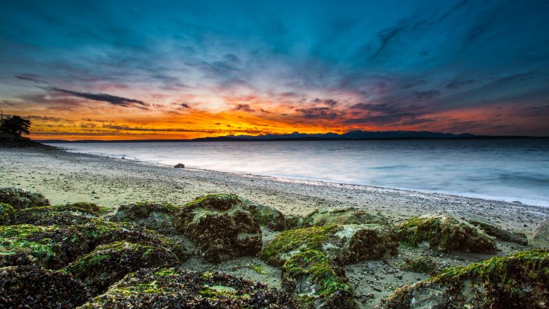Alki Beach, West Seattle, Washington, Seascape, Sunset Orange, Long exposure, Green Moss, Rocky coast, Beach, Horizon, Wallpaper